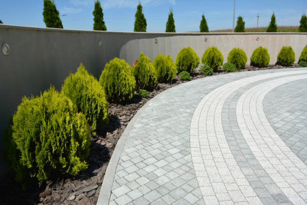 Reasons to Select Us for Your Driveway Paving Requirements in Newark, DE